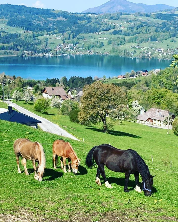 Villa Feichtingerhof Steinbach am Attersee Exterior foto